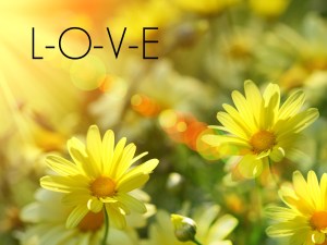 sunshine-wallpaper-6