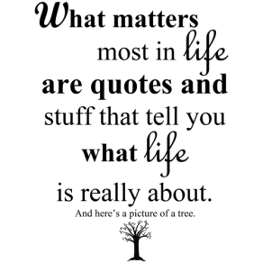 what-matters-most-in-life-are-quotes-and-stuff-that-tell-you-what-life-is-really-about_motto