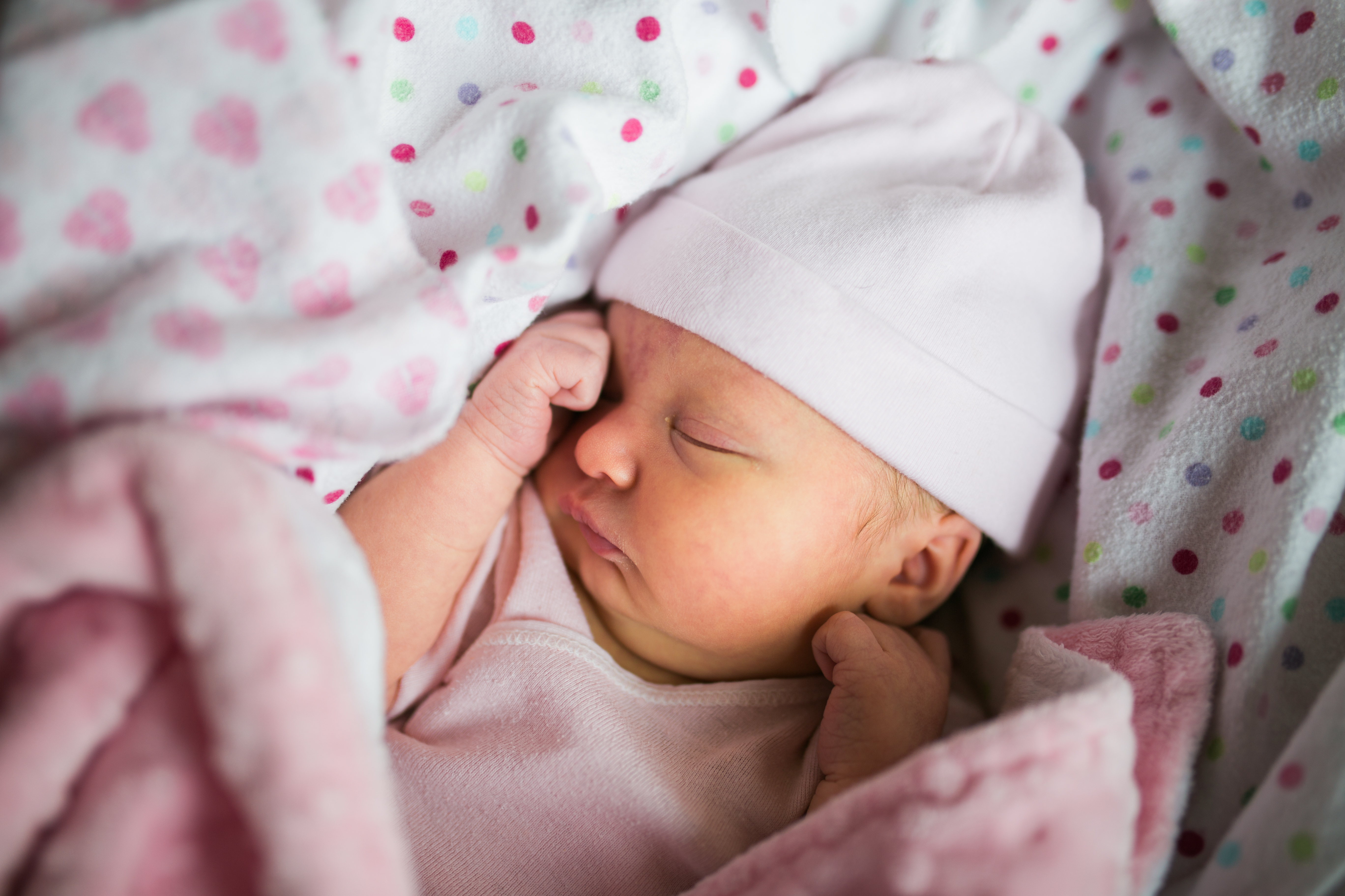 Karnes November 2017 (20 of 23)