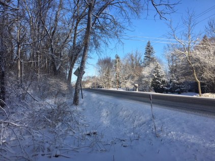 b1ae4985-4a2c-4306-ac08-4838ccd725ff