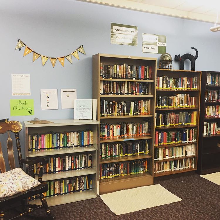 MSDottararBookshelves